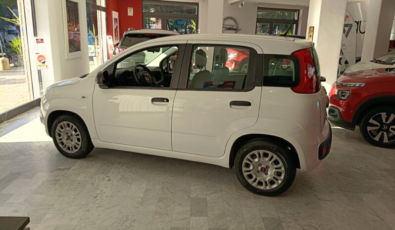 
								Fiat Panda 1.0 hybrid full									