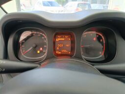 
										Fiat Panda 1.0 hybrid full									