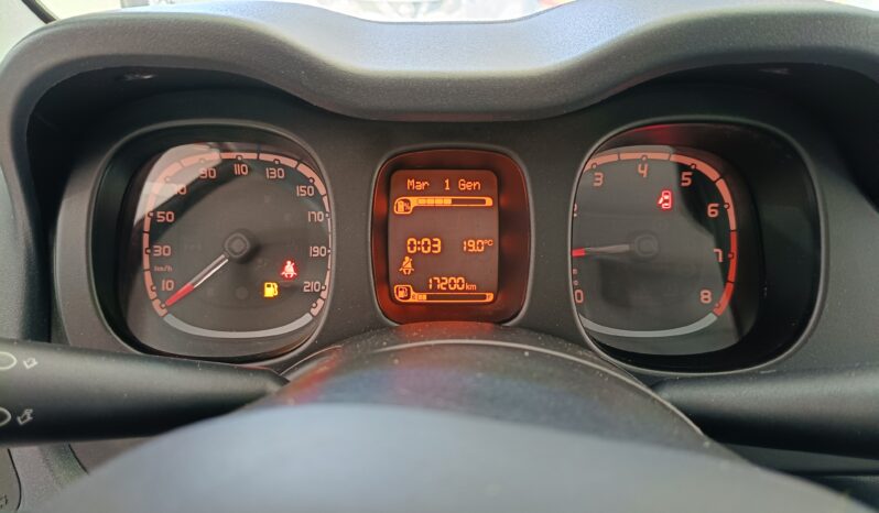 
								Fiat Panda 1.0 hybrid full									